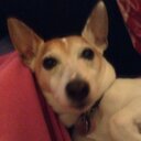 Abigail Carter - @abigail_61 - Twitter
