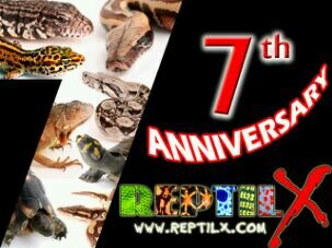 The FIRST Indonesian reptile forum