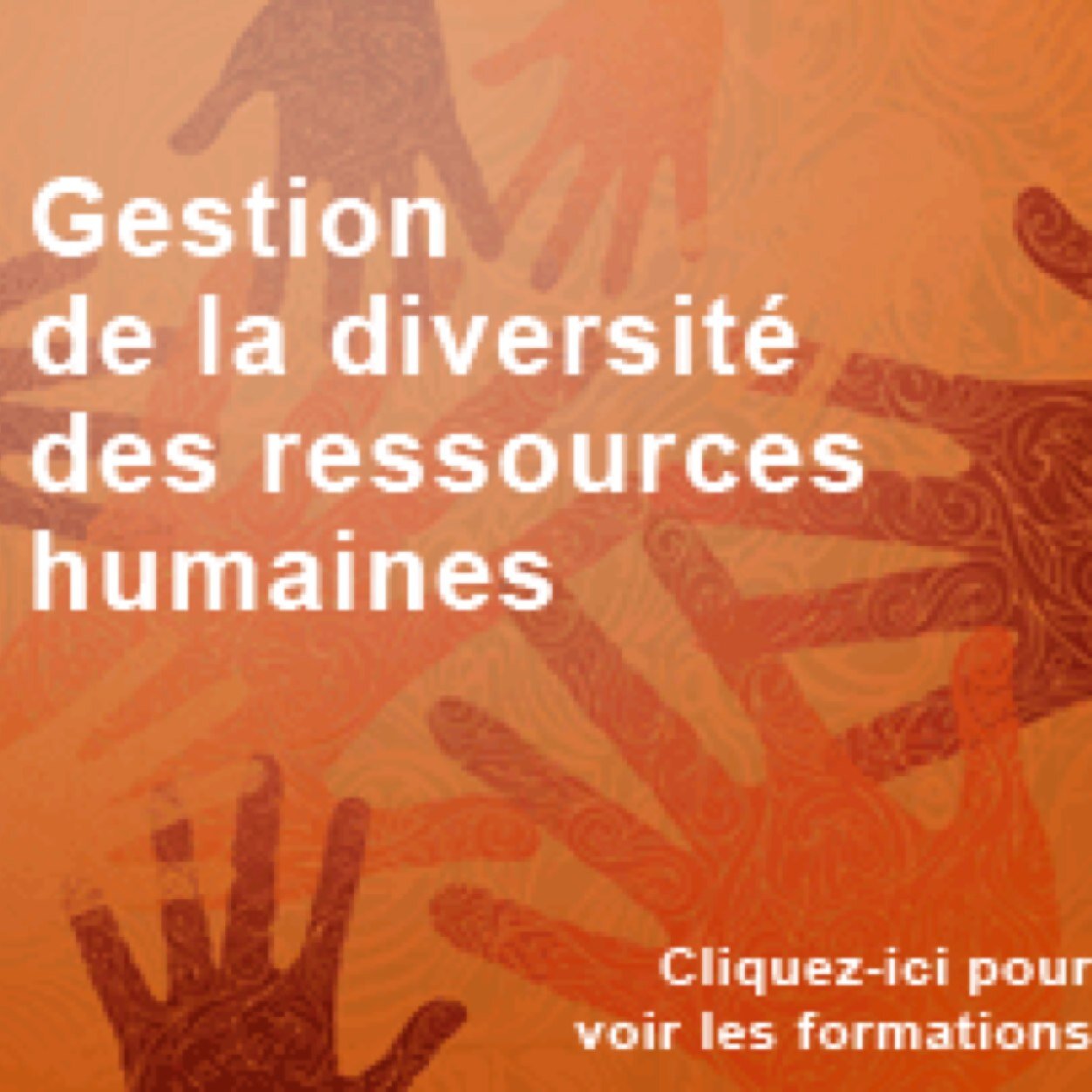 Leadership et diversité
Consultants, coaches, formateurs et médiateurs interculturels depuis 2001