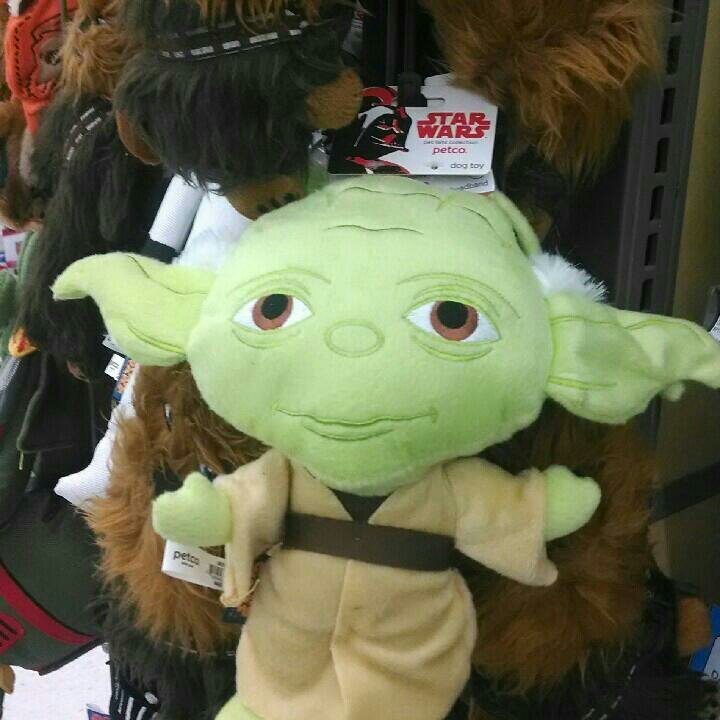 lvnascr's profile picture. 