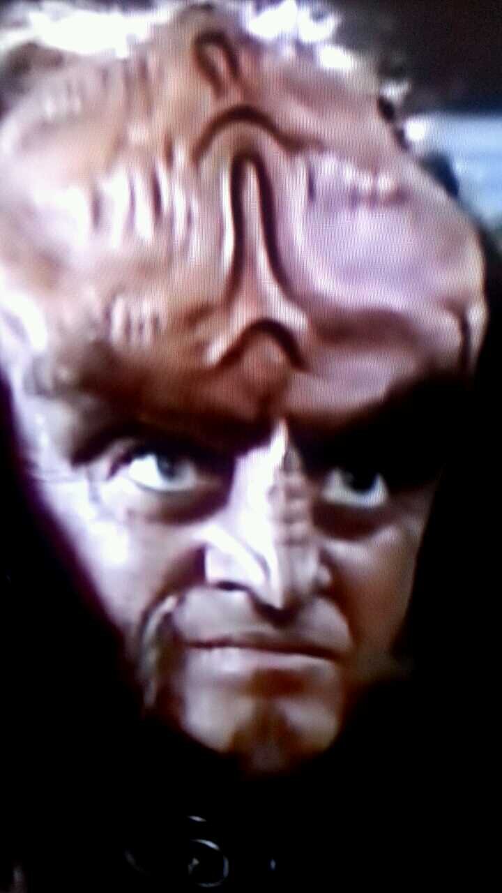 Tony_Cappozzo's profile picture. 