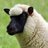 bustafact's profile image