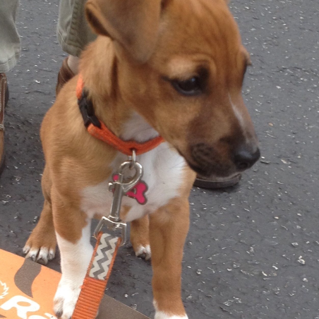 equusab's profile picture. love my two boys and horses