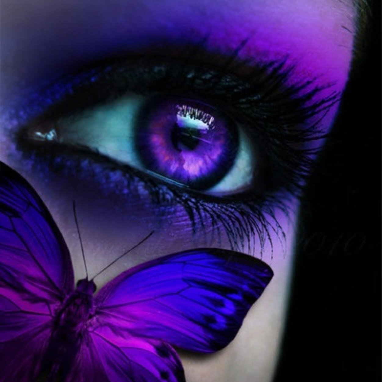 Live with no regrets, love like there is no tomorrow and laugh like nobody is watching.