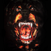 H S (@shogun_tx) Twitter profile photo H S (@shogun_tx) Twitter profile photo