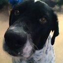 Theodore Black - @BlackTheo_photo - Twitter