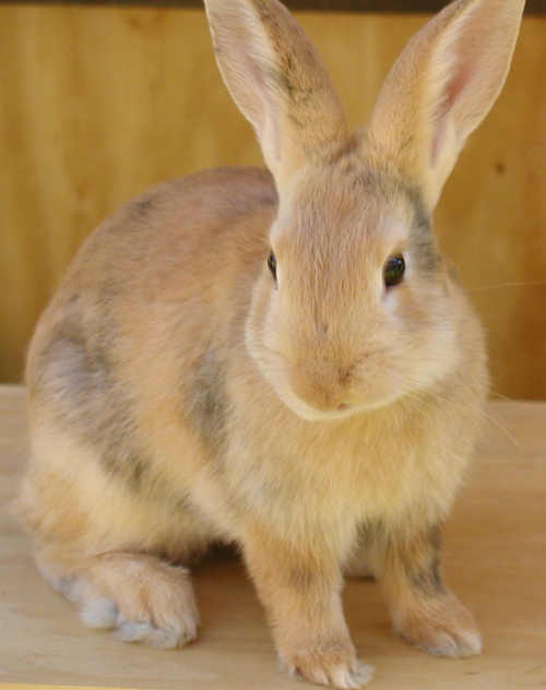 Fresh_and_Fiery's profile picture. Foodie based tweets...