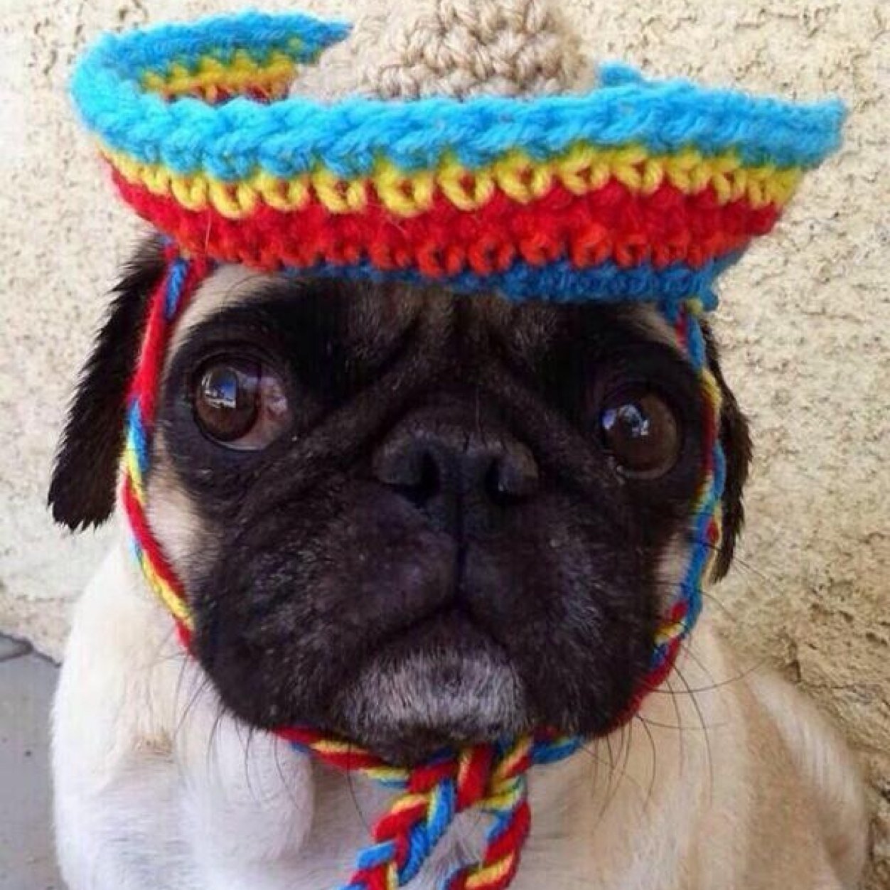 JonasAddict97's profile picture. yanno just tweeting jonas lyrics.