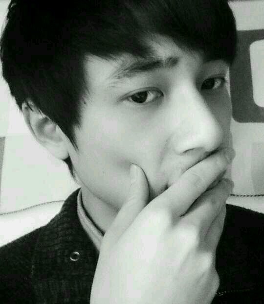 xinanfentiao's profile picture. 