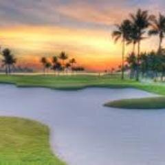 MarianLindley1's profile picture. Nurse administrator, likes to cook