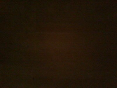 TaniNeumann's profile picture. 