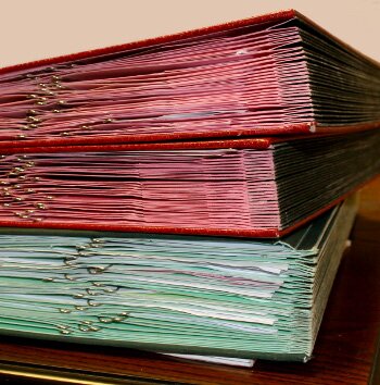 LadoFormosoB's profile picture. Company LADO FORMOSO BOWEN LTD. #Facebook #linked and #verified. To Enquiries ricardolado@ladoformosobowenlimited.com