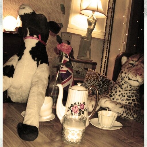 NannasKitchen's profile picture. A local, imaginative, homemade, whole food eatery, using locally sourced, seasonal produce and catering to special dietary requirements.