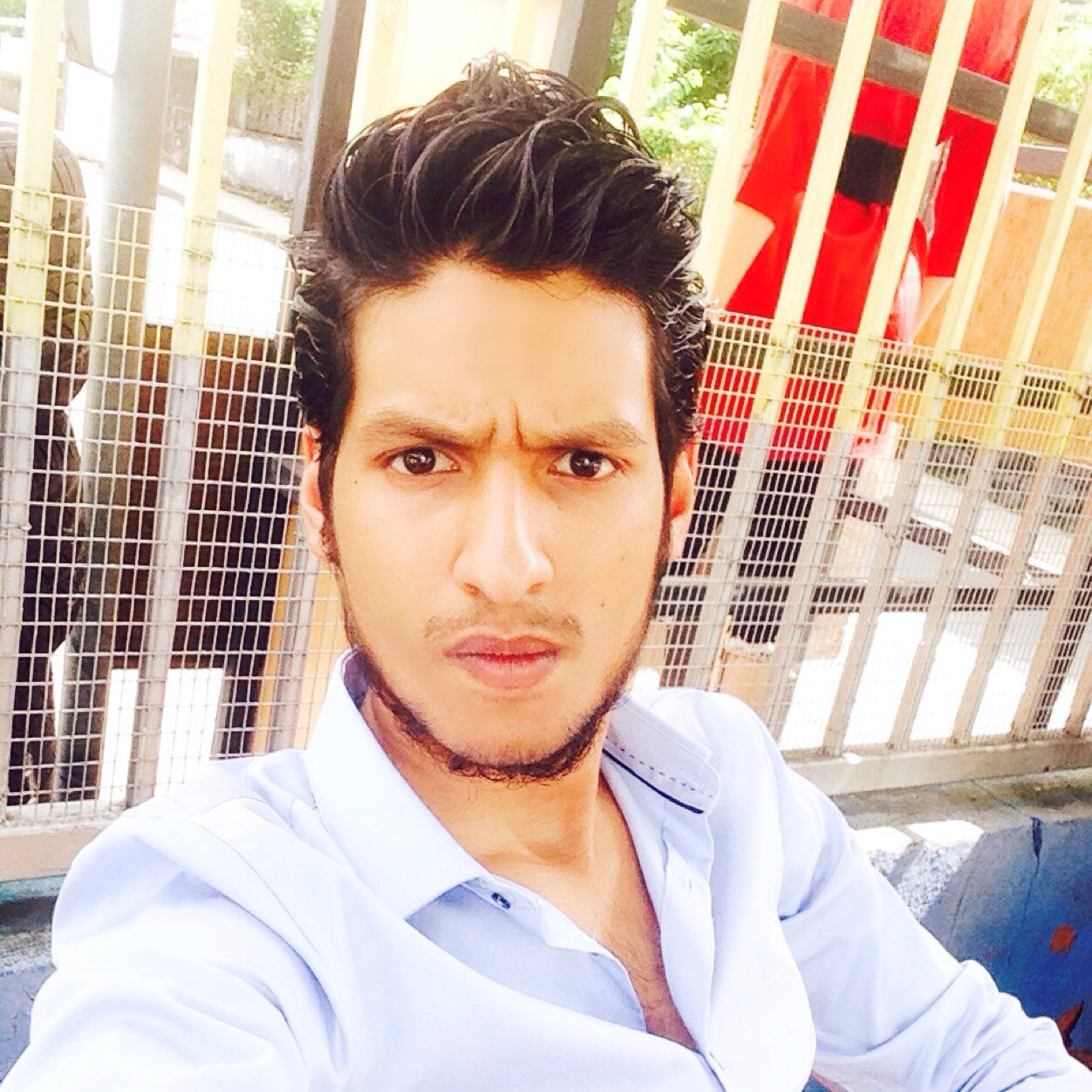 MangroliaD's profile picture. 