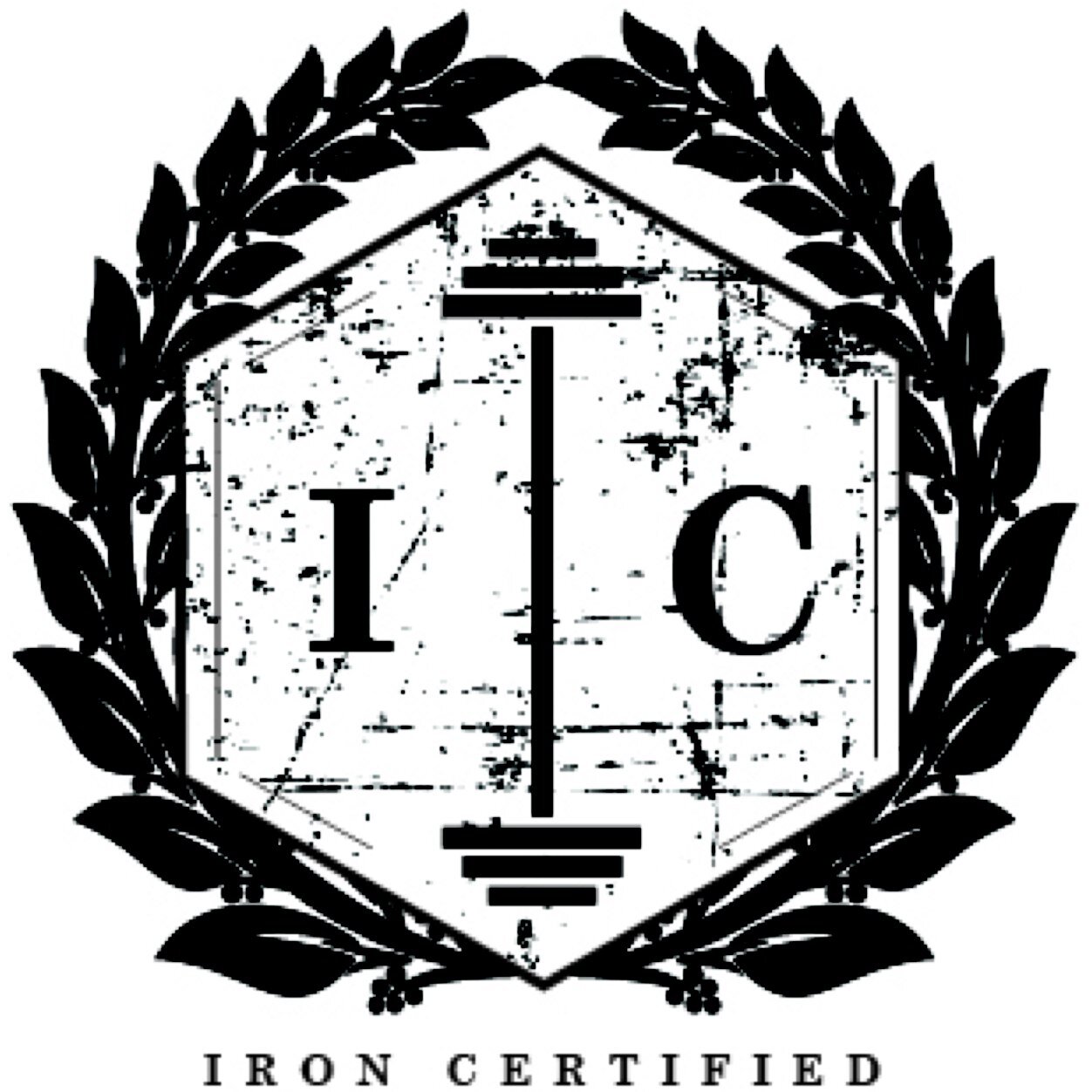 Online Fitness Coaching | Training Programs | Diet Coaching | Tips & Motivation | Instagram: ironcertified emanuel_jc destin_lett