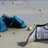 melanie_marec's profile image
