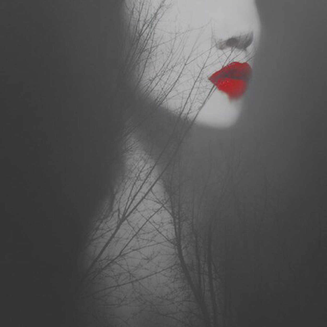 velinka_huinka's profile picture. 