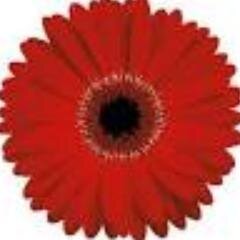 sueshappylife's profile picture. Mom first, Joe's awesome wife, Unwilling student of Breast Cancer