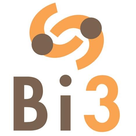 Bi3 is a Management School [Training,Counseling and Coaching] Antonio,Raffaele e Paolo Braia together consultants with international experience,operate in Italy