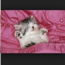 Kat Watson - @KatKatgirl01 - Twitter