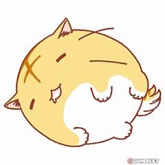 290SnowZy's profile picture. Babyz For BAP • Melody For BTOB • @BAP_Himchan & @BTOB_6SJ