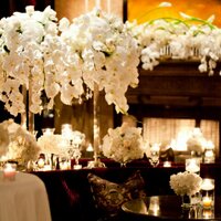 Tala Florist (@talaflorist) 's Twitter Profile