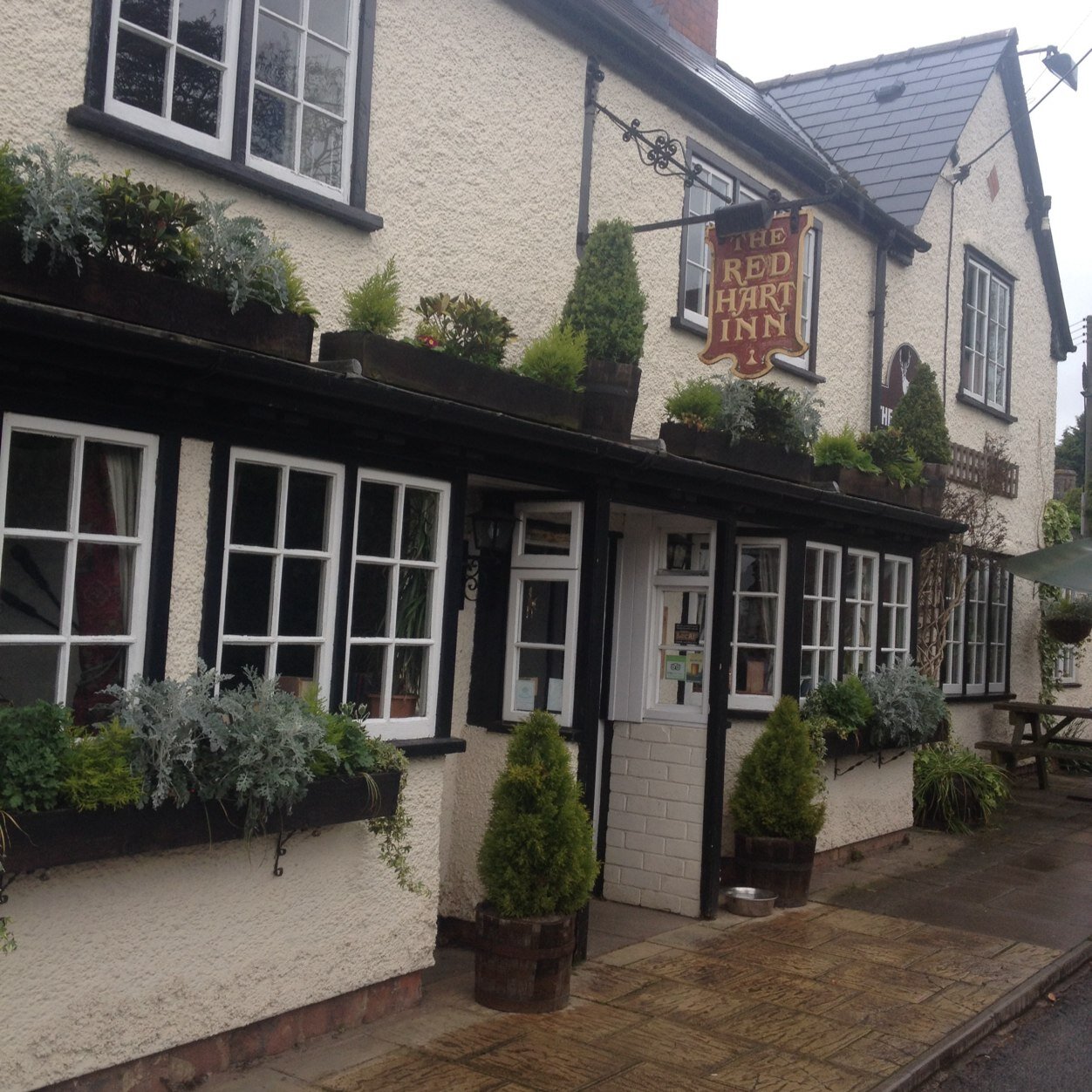 The Red Hart Profile