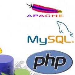 mariuzo's profile picture. 