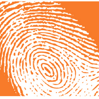 A M (@alvaradomolina) 's Twitter Profile