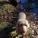 Danny Wherry - @DannyWherry - Twitter