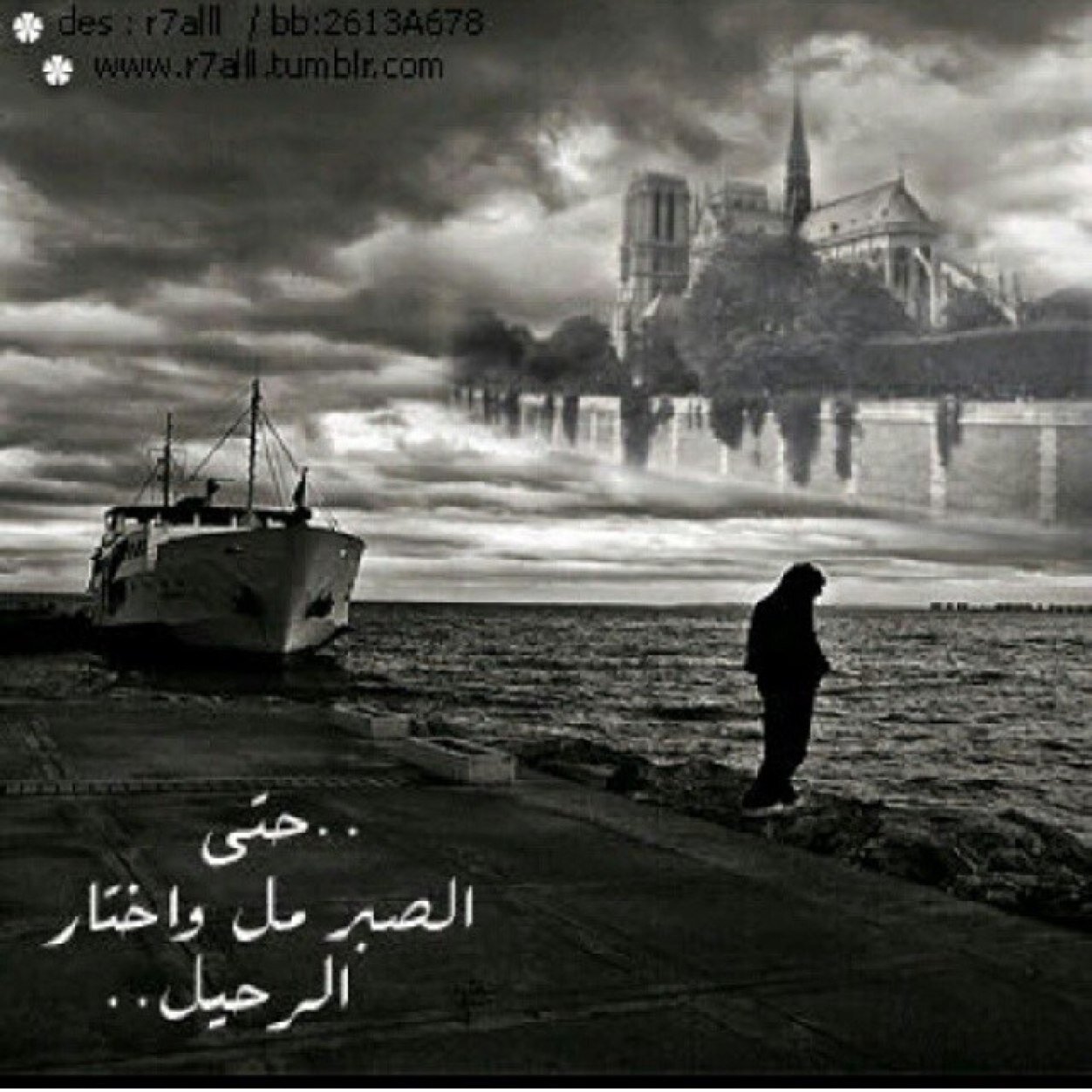 دايم الذكره عذاب والخطا عين الصواب !!