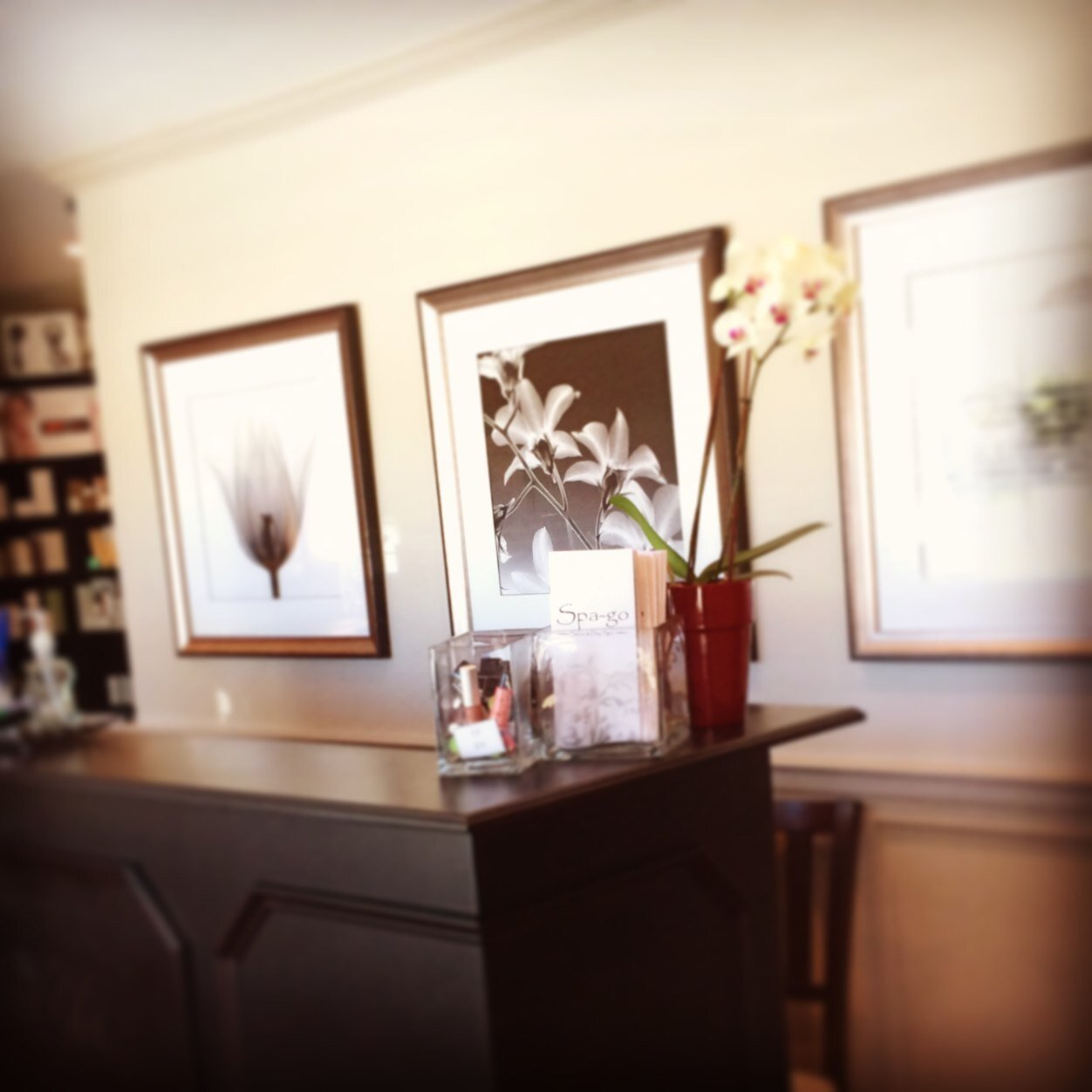 massagebarbie's profile picture. 