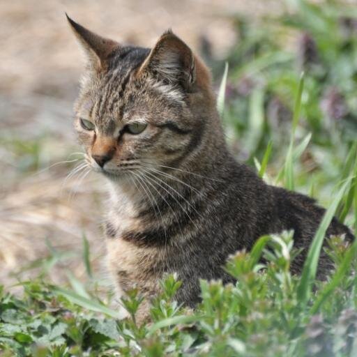 ワイン好き😹