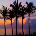 Roderick Heath - @roderickhe1445 - Twitter