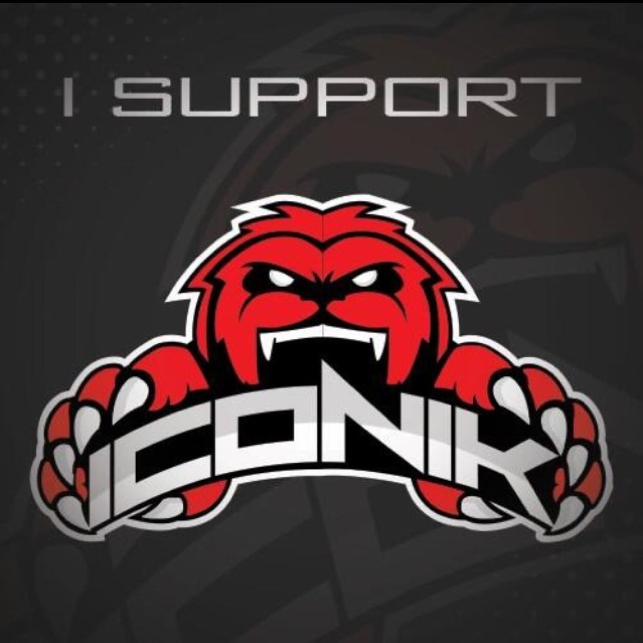 Premier Call of Duty eSports organization. Business inquires, email iconikcod@gmail.com. Only twitter of iCoNik! Any others are fake.