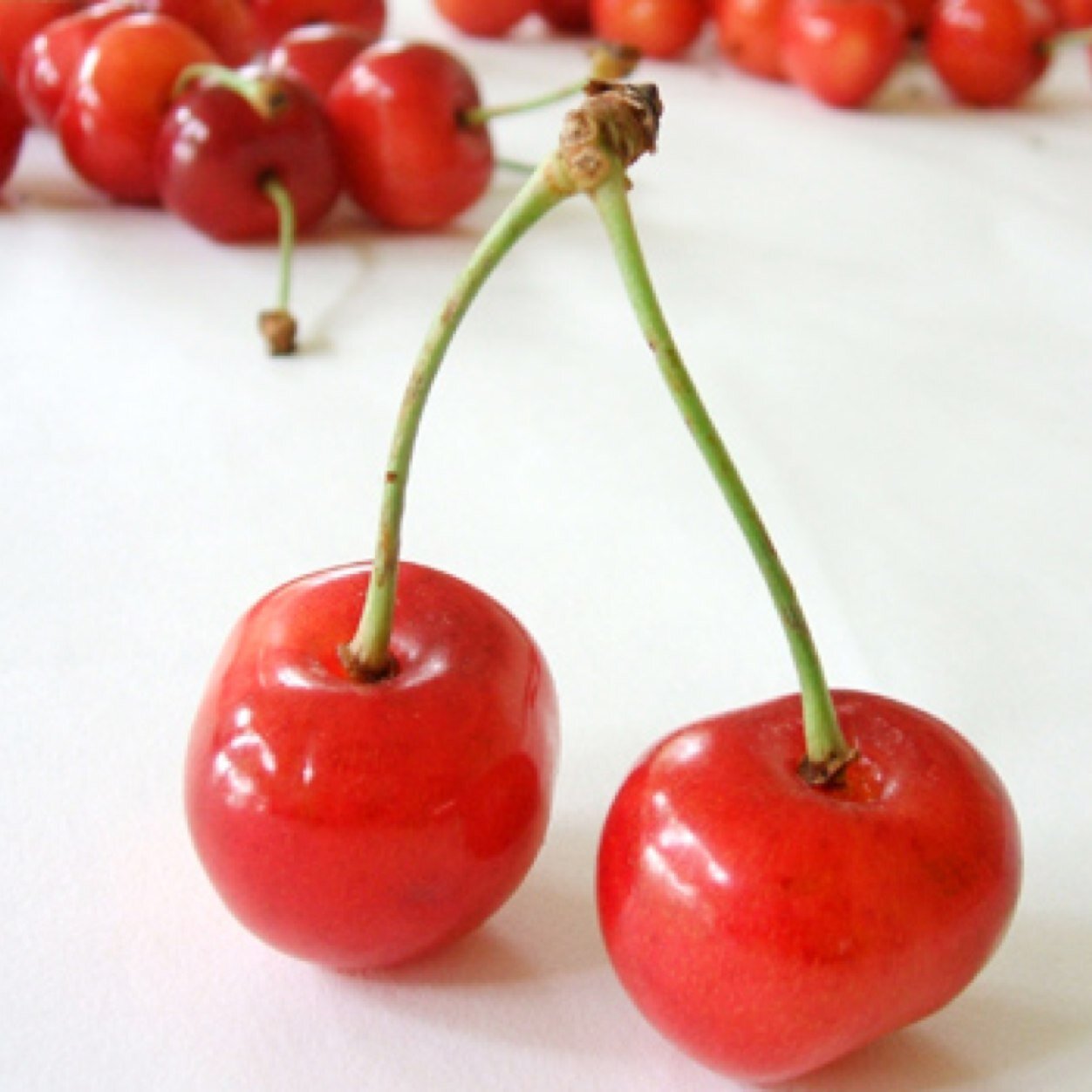 KmrCherry's profile picture. ロストクルセイド、白猫テニス 、セブンナイツ (´▽｀メカ音痴で悪戦苦闘…*)機種変更しようか…悩み中(泣)