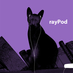 RayPod Profile picture