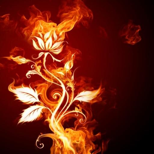 Aliblaatum's profile picture. Twitter del canal de youtube xXTheGamersCoDXx aquí os informaremos sobre l'actualidad del canal. Síguenos! ;)