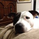 frederick whyms - @fwhyms69 - Twitter