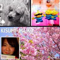 まいぷ！！ (@m_kisumiiii) 's Twitter Profile