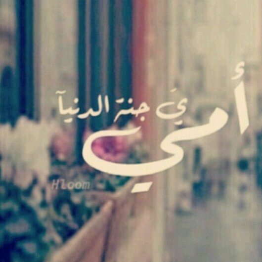 الله يطول بعمر امي على الطاعة 
وتعيش كل العمر ربي معافيها 
يا جعلني منححرم  منها ولا ساعة 
ويجعلني دااايم فدوه لرجليها
الله يحفظك ياامي ♡♡