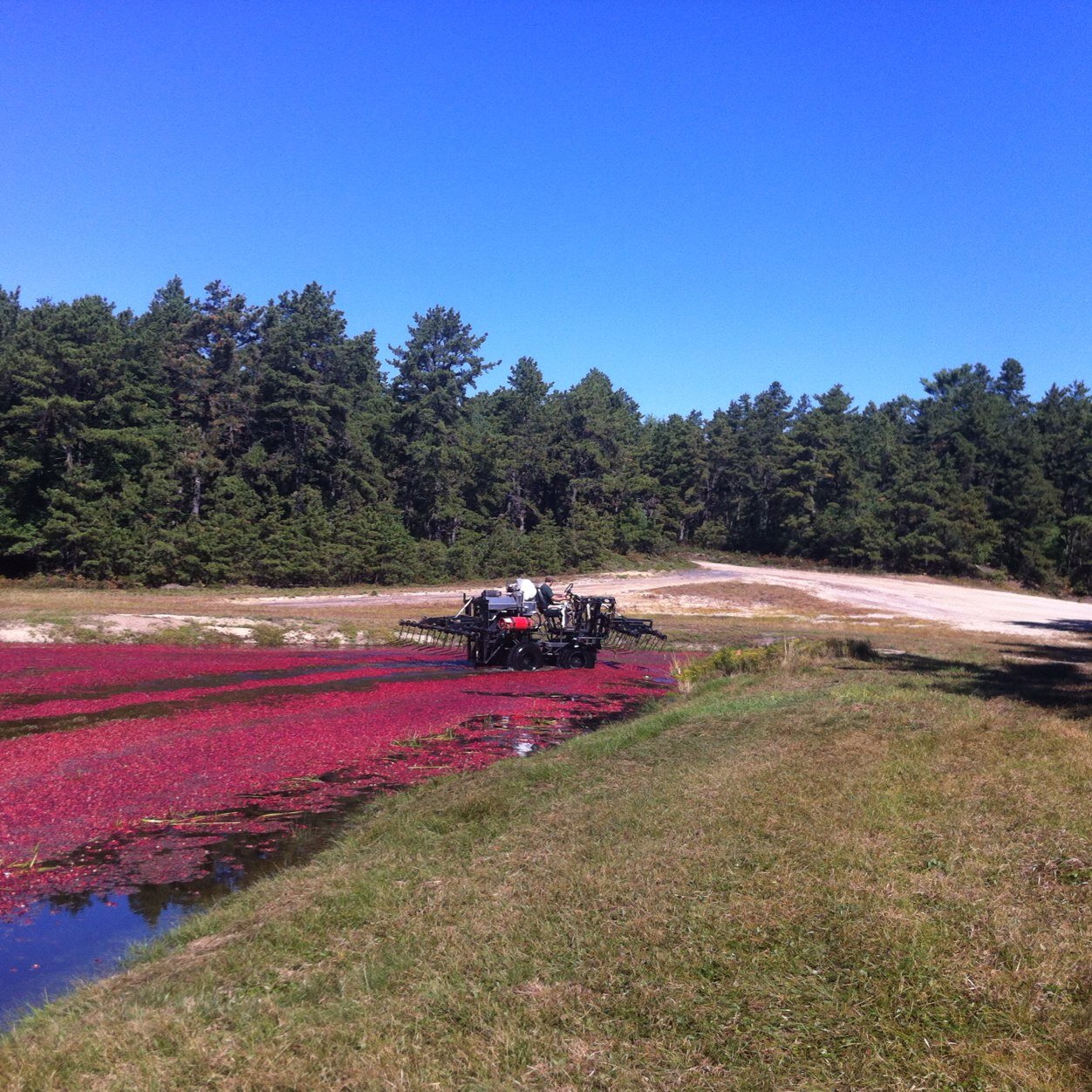 khoudlette's profile picture. 