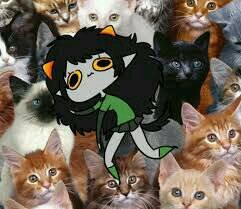 I LIKE KITTENS,KITTENS AND PURRLOZ,PURRLOZ AND SATAN. (=｀ω’=)