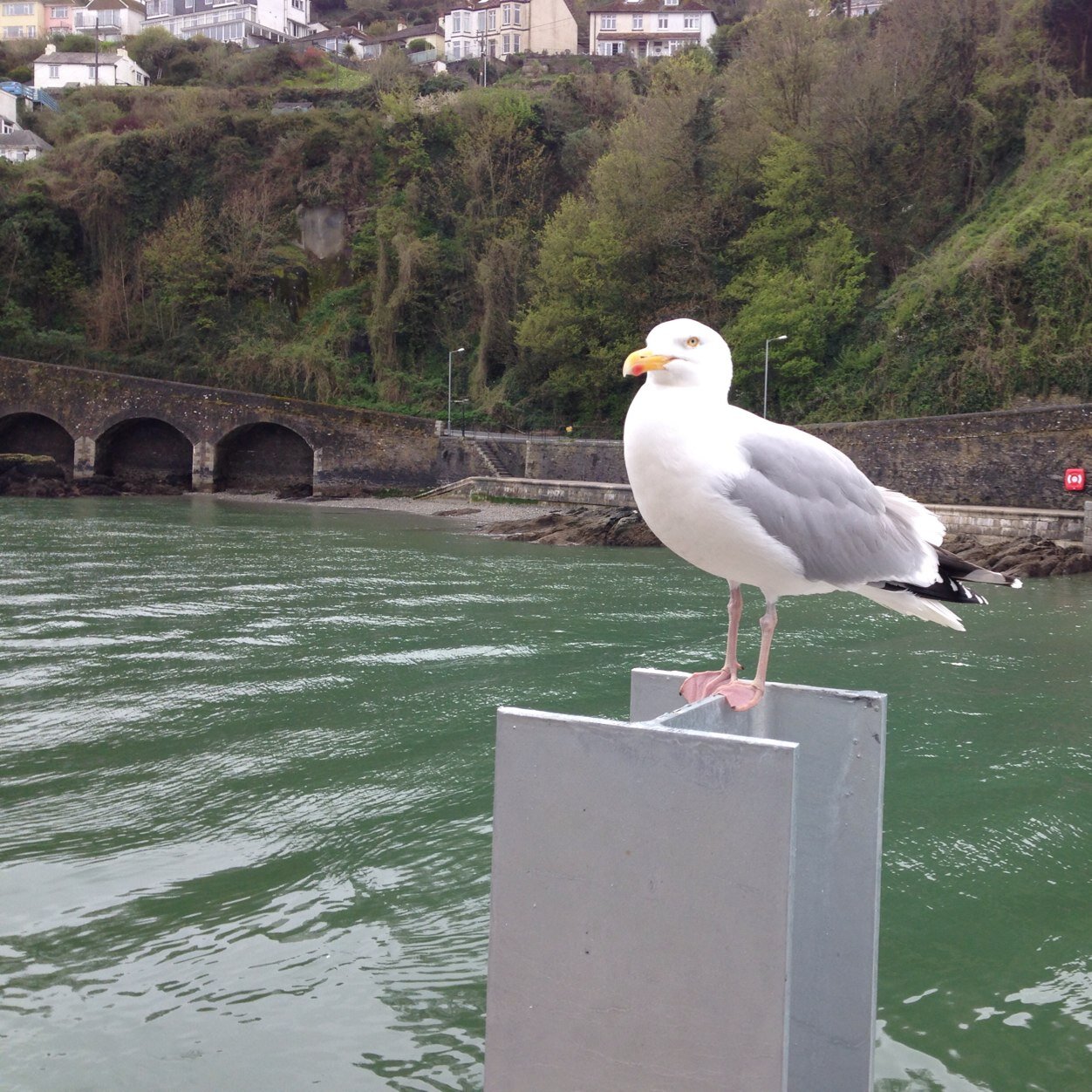 Patnhel2's profile picture. Not having any trouble filling my time.