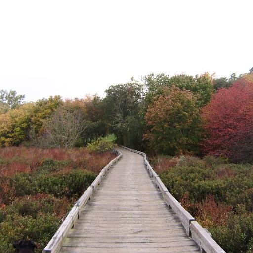 Championship Public Golf Course
Just Over The Bridge On Beautiful
Cape Cod For a Tee Time Call 508-477-4412