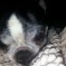 Charles A LeMay (@charlemay67) Twitter profile photo