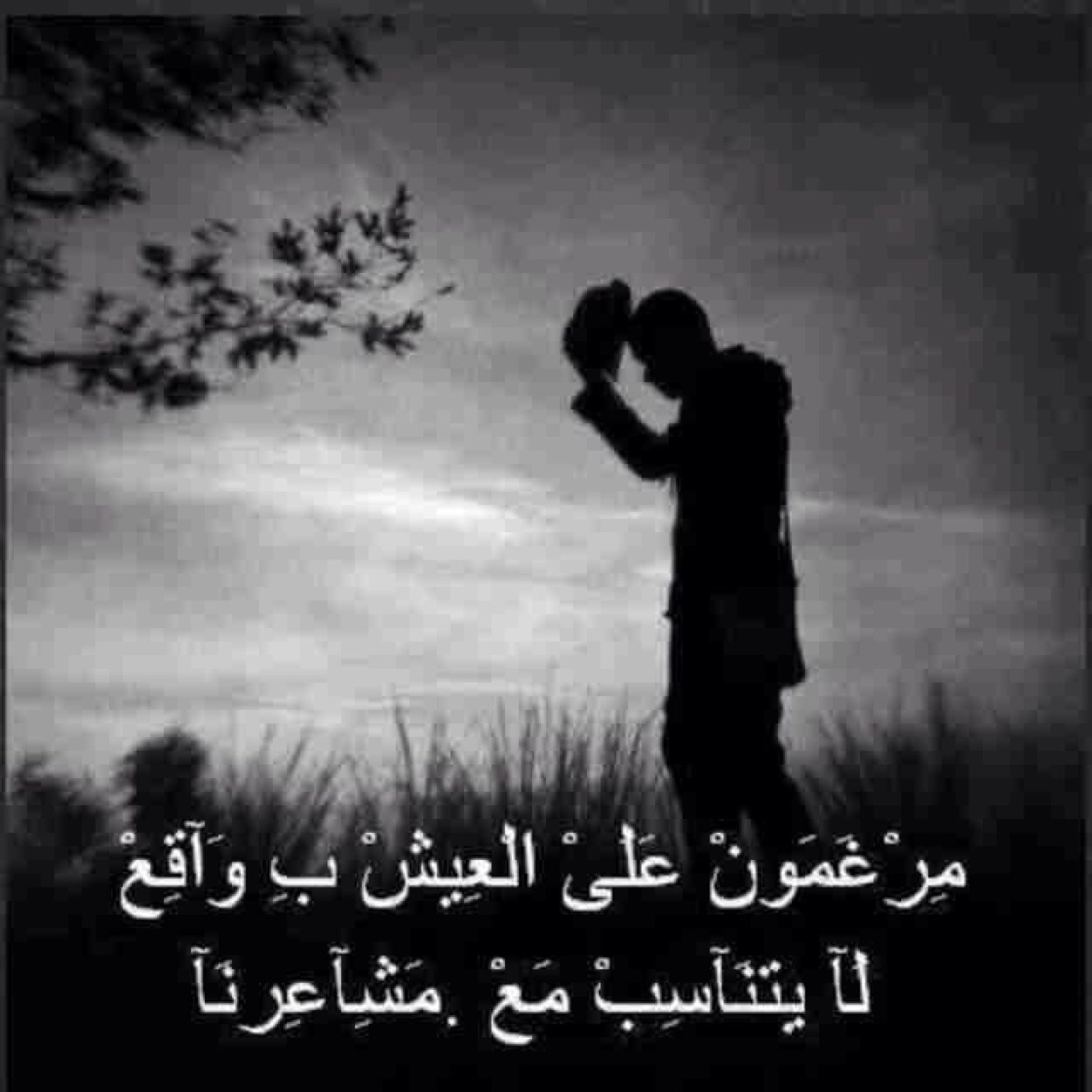 ( الزله ولو كان الخطأ قتاااال أبد ما كان من طبعي ؛ قلووب الناس آآذيهاا )