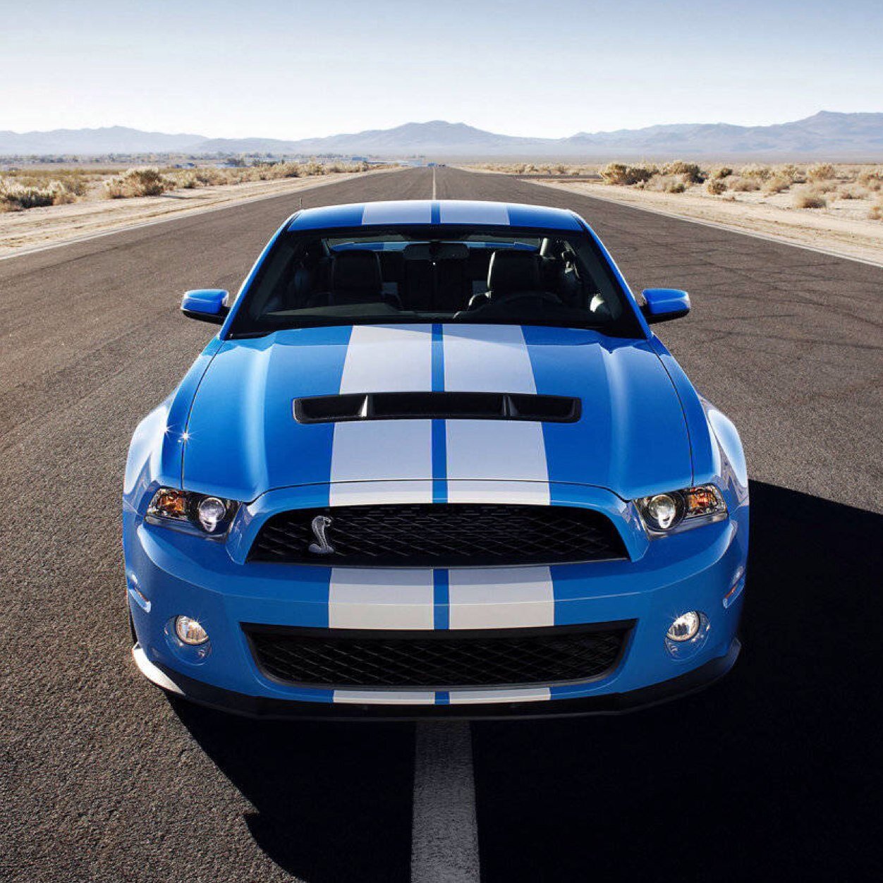 #tapout-dreamcar 2014 #Ford #Shelby GT500 Supersnake | trucks, cars and bikes are my passion |