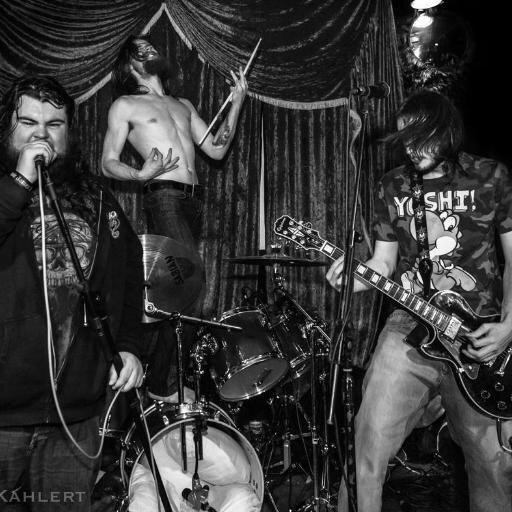 We just want to rock'n'roll all night and party every day.