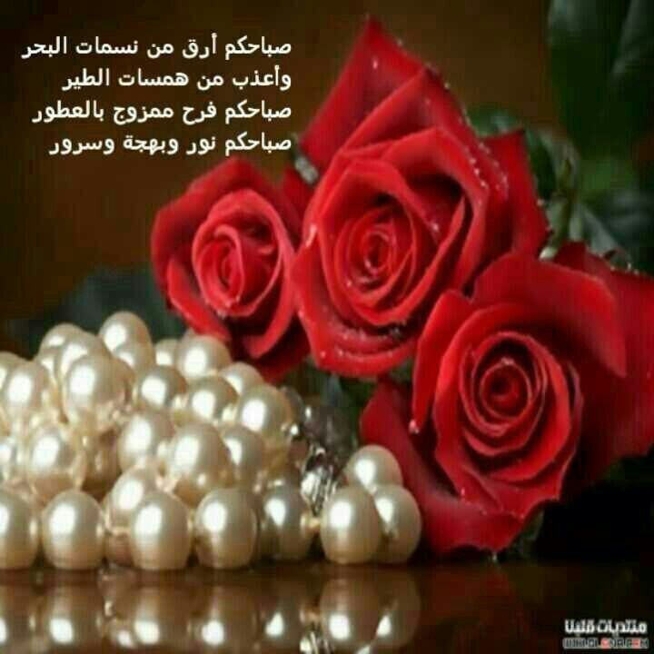 5fifi55572's profile picture. 